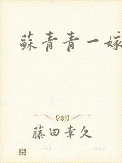 苏青青一嫁三夫