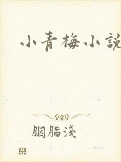 小青梅小说封面