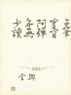 少年阿宾免费阅读无弹窗笔趣阁