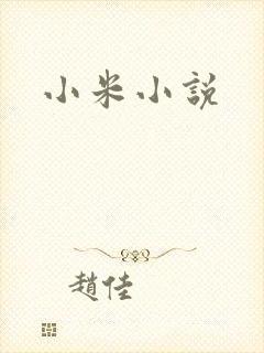 小米小说