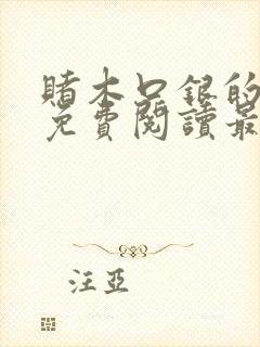 赌木口银的小说免费阅读最新封面