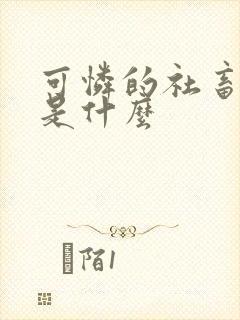 可怜的社畜讲的是什么封面