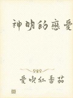 神明的恋爱游戏封面