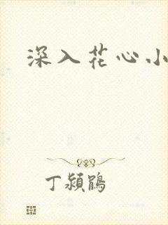 深入花心小说