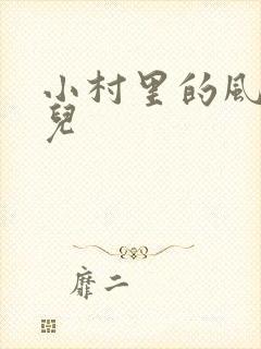 小村里的风流事儿封面