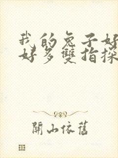 我的兔子好软水好多双指探洞小说