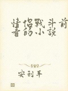 情侣战斗前适合看的小说