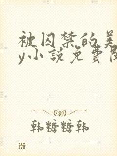 被囚禁的美人by小说免费阅读封面