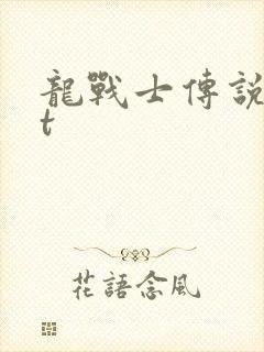 龙战士传说txt封面