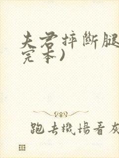 夫君摔断腿后(完本)封面