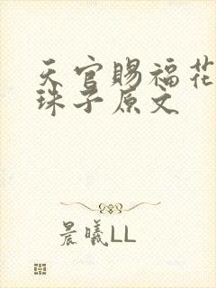 天官赐福花怜塞珠子原文