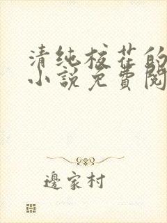 清纯校花的秘密小说免费阅读