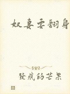 奴妻要翻身