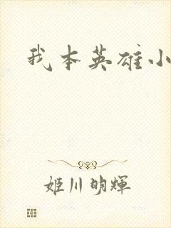 我本英雄小说