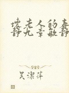 坏老人的春天敏静九章敏静封面