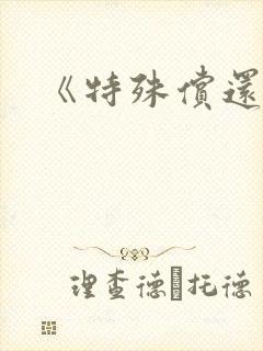 《特殊偿还》封面