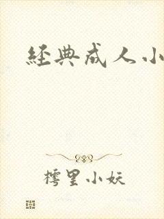 经典成人小说封面