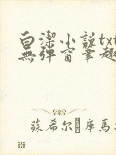 白洁小说txt无弹窗笔趣阁封面