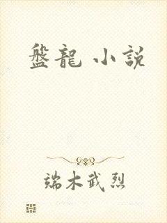 盘龙 小说