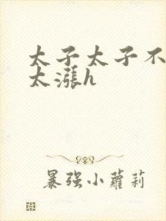 太子太子不要了太涨h