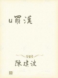 u罗汉封面