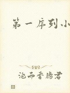 第一序列小说封面