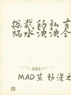 总裁的私有宝贝祸水泱泱全文阅读