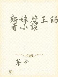 新妹魔王的契约者小说