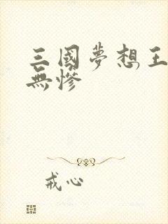 三国梦想王元姬无惨