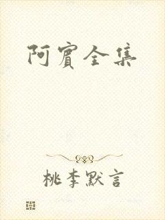 阿宾全集封面