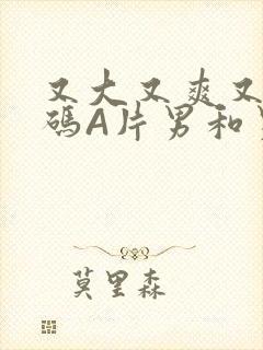 又大又爽又黄无码A片男和男封面