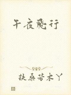 午夜飞行封面