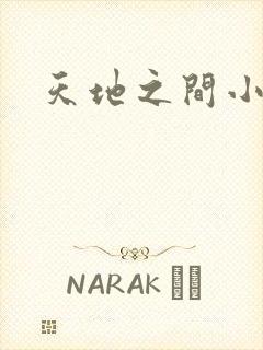 天地之间小说