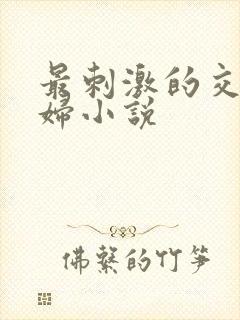 最刺激的交换夫妇小说