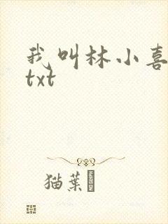 我叫林小喜小说txt