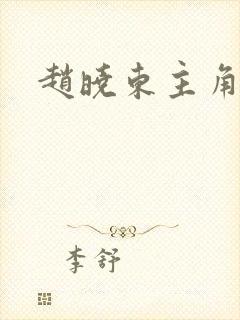 赵晓东主角小说