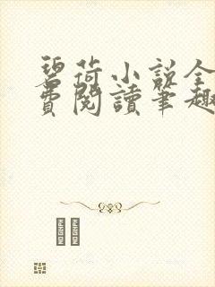 碧荷小说全文免费阅读笔趣阁封面