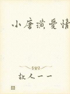 小唐璜爱情历史