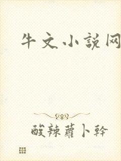 牛文小说网封面