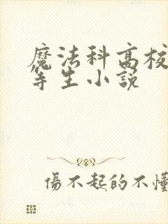 魔法科高校的劣等生小说