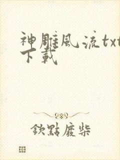 神雕风流txt下载封面