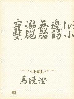 宠溺无边1v3双胞胎的小说