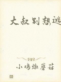 大叔别想逃