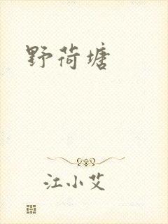 野荷塘封面