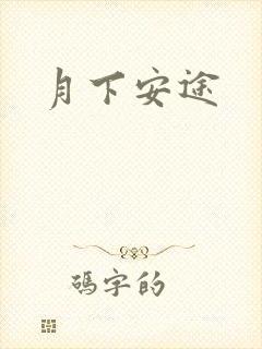 月下安途