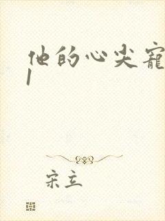 他的心尖宠1v1