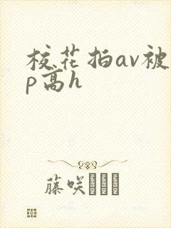 校花拍av被np高h