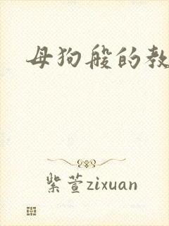 母狗般的教师封面