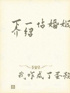 下一站婚姻剧情介绍