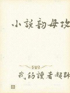 小说韵母攻略封面